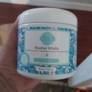 Scentsy Arctic Kiss Washer Whiffs
